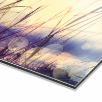 Foto op aluminium